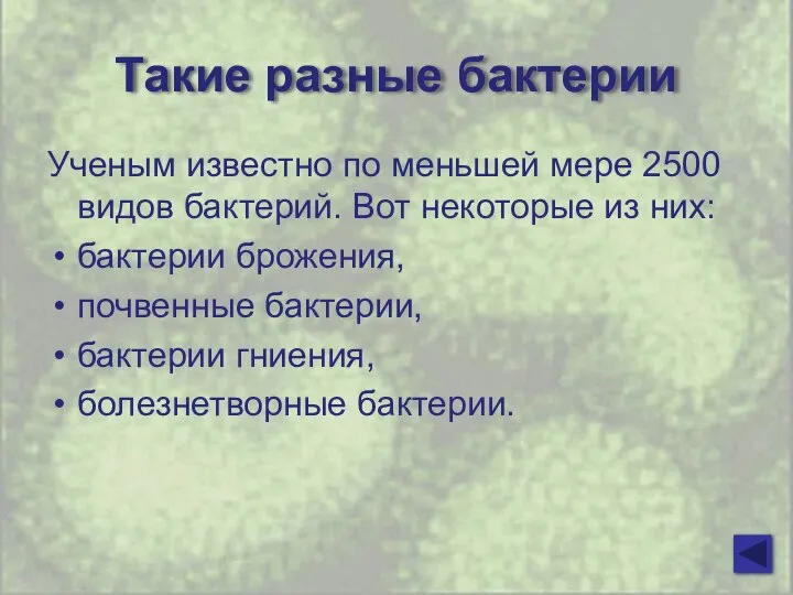 Такие разные бактерии Ученым известно по меньшей мере 2500 видов бактерий.