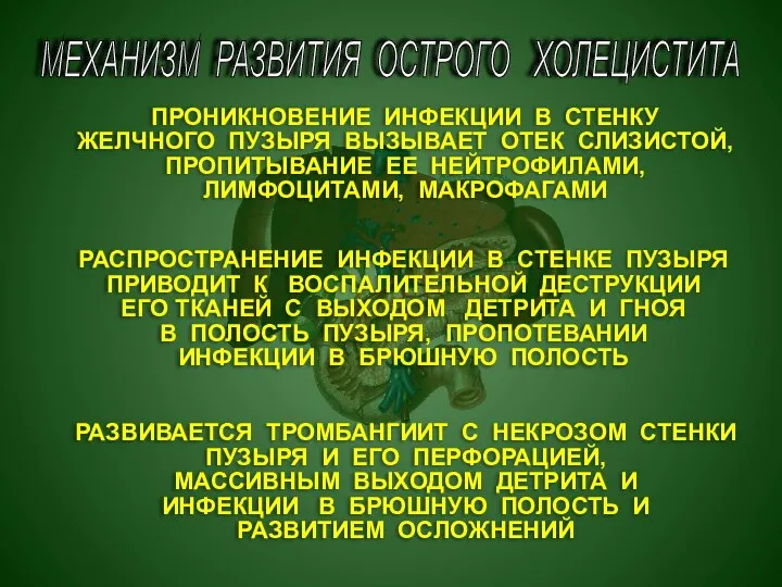 МЕХАНИЗМ РАЗВИТИЯ ОСТРОГО ХОЛЕЦИСТИТА ПРОНИКНОВЕНИЕ ИНФЕКЦИИ В СТЕНКУ ЖЕЛЧНОГО ПУЗЫРЯ ВЫЗЫВАЕТ