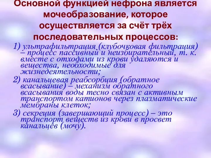 Основной функцией нефрона является мочеобразование, которое осуществляется за счёт трёх последовательных