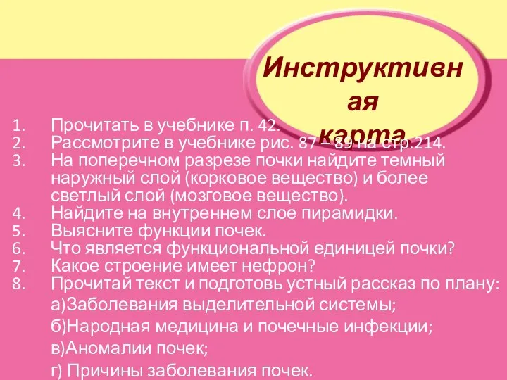 Инструктивная карта. Прочитать в учебнике п. 42. Рассмотрите в учебнике рис.