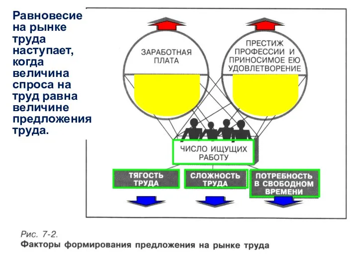 Равновесие на рынке труда наступает, когда величина спроса на труд равна величине предложения труда.