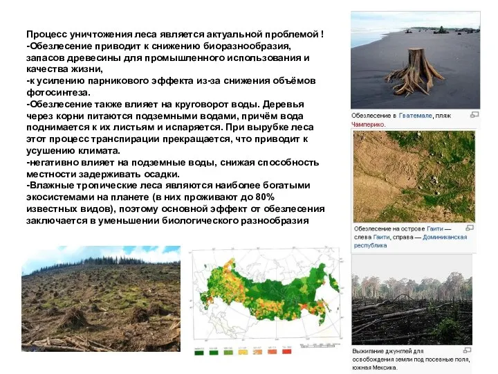 Процесс уничтожения леса является актуальной проблемой ! -Обезлесение приводит к снижению