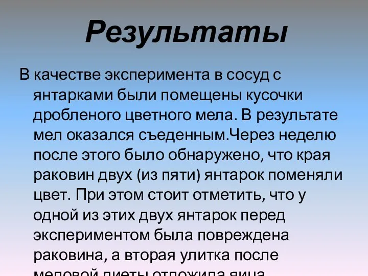 Результаты В качестве эксперимента в сосуд с янтарками были помещены кусочки