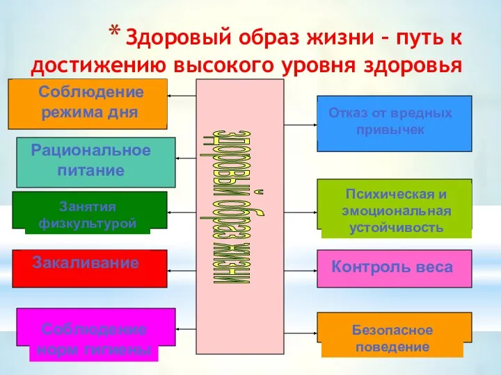 Здоровый образ жизни – путь к достижению высокого уровня здоровья здоровый образ жизни Рациональное питание