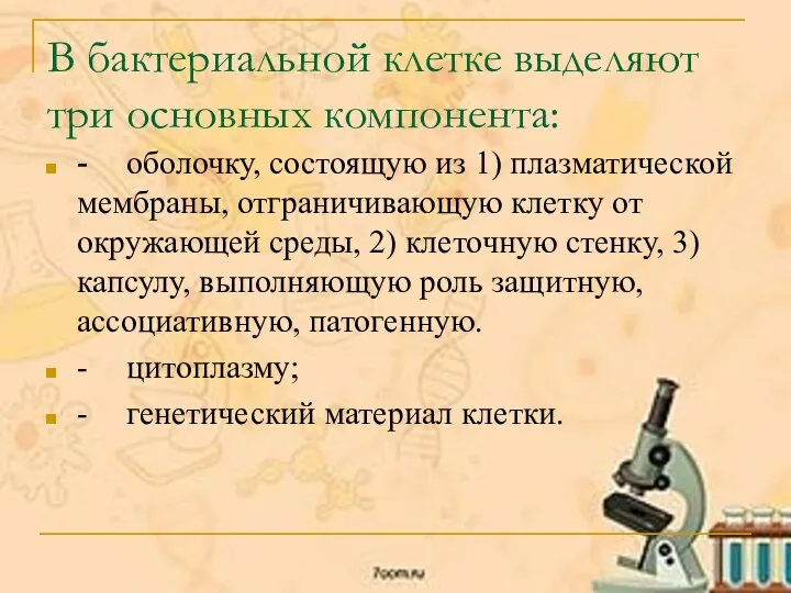 В бактериальной клетке выделяют три основных компонента: - оболочку, состоящую из