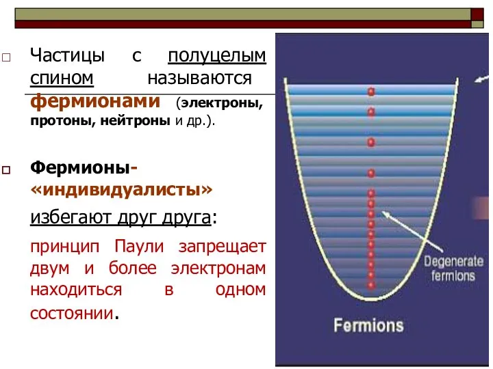 Частицы с полуцелым спином называются фермионами (электроны, протоны, нейтроны и др.).
