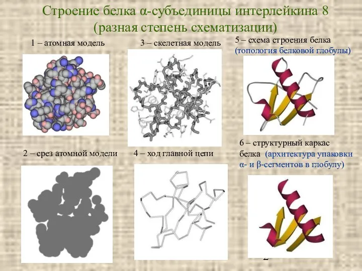 1 – атомная модель 2 – срез атомной модели 3 –