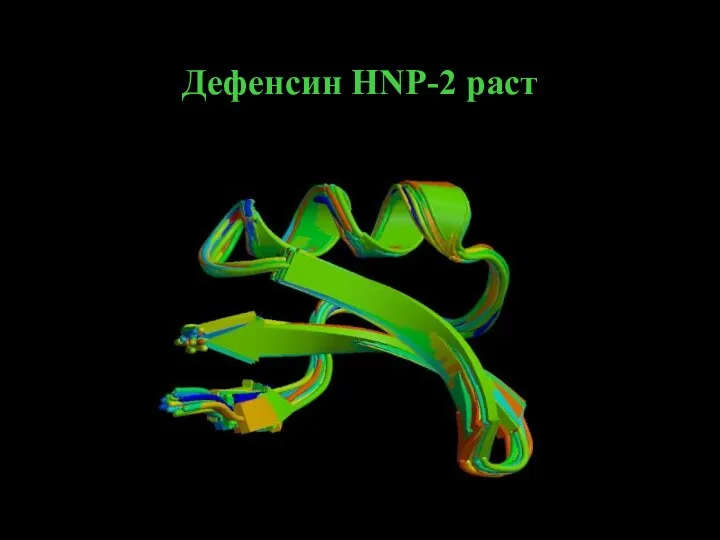 Дефенсин HNP-2 раст