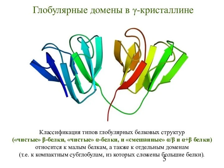 Глобулярные домены в γ-кристаллине Классификация типов глобулярных белковых структур («чистые» β-белки,