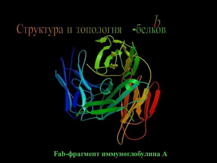 Fab-фрагмент иммуноглобулина А Структура и топология -белков b