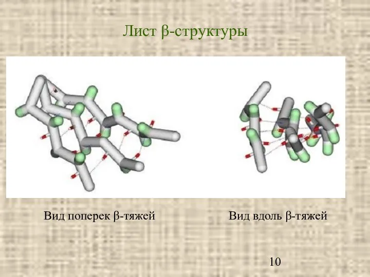 Лист β-структуры Вид поперек β-тяжей Вид вдоль β-тяжей