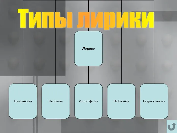 Типы лирики