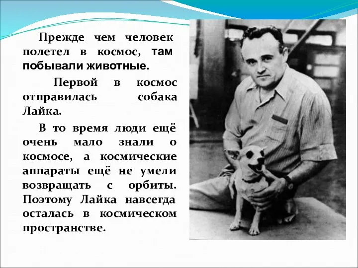 Прежде чем человек полетел в космос, там побывали животные. Первой в