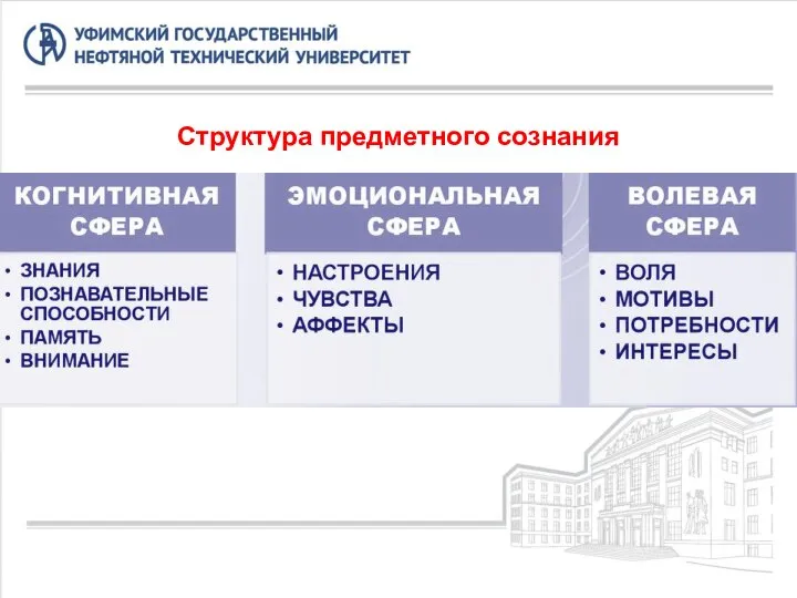 Структура предметного сознания