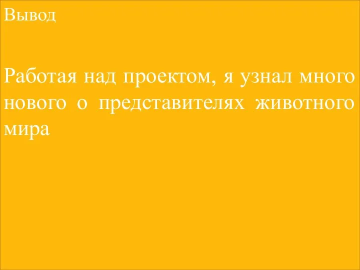 Вывод Работая над проектом, я узнал много нового о представителях животного мира