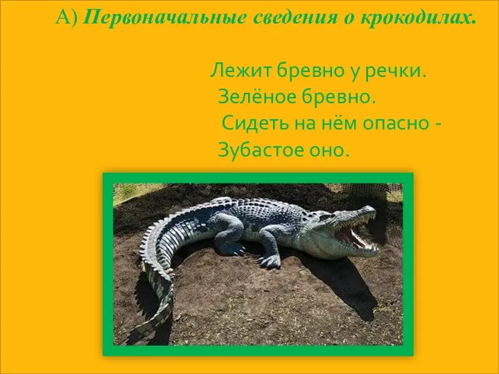 А) Первоначальные сведения о крокодилах. Лежит бревно у речки. Зелёное бревно.