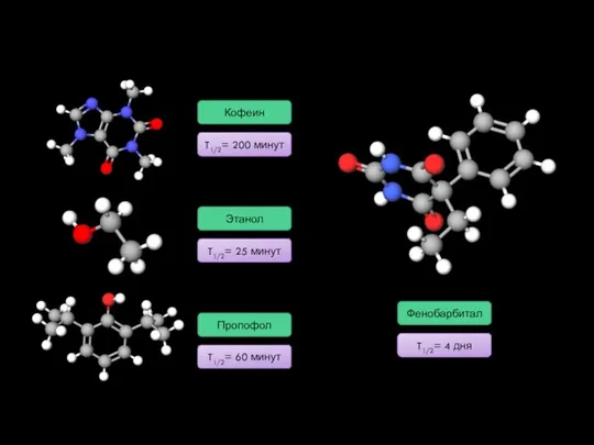 T1/2= 200 минут T1/2= 25 минут T1/2= 60 минут Кофеин Этанол Пропофол T1/2= 4 дня Фенобарбитал