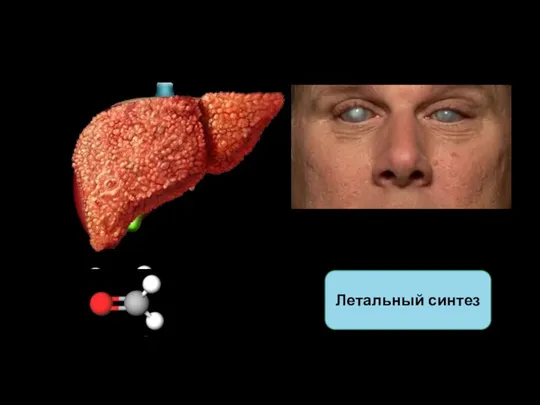 Метиловый спирт Формальдегид Летальный синтез