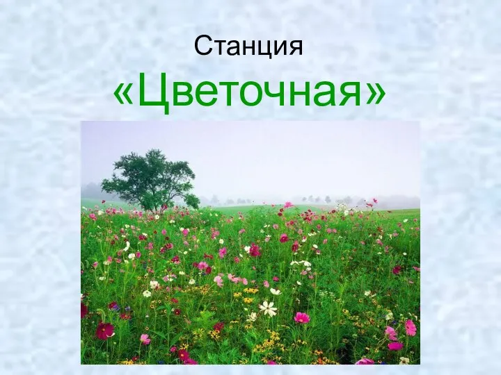 Станция «Цветочная»