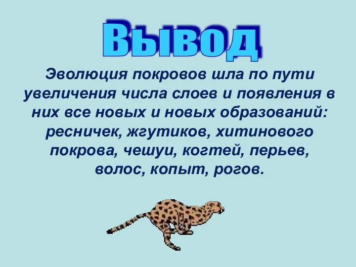 Вывод Эволюция покровов шла по пути увеличения числа слоев и появления