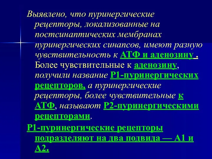 Выявлено, что пуринергические рецепторы, локализованные на постсинаптических мембранах пуринергических синапсов, имеют