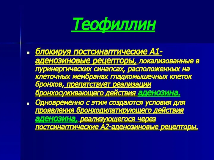 Теофиллин блокируя постсинаптические А1-аденозиновые рецепторы, локализованные в пуринергических синапсах, расположенных на