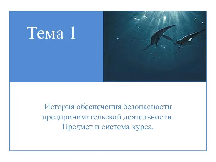 Тема 1 История обеспечения безопасности предпринимательской деятельности. Предмет и система курса.