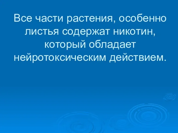 Все части растения, особенно листья содержат никотин, который обладает нейротоксическим действием.