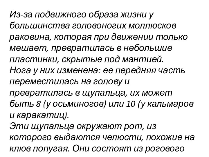 Из-за подвижного образа жизни у большинства головоногих моллюсков раковина, которая при