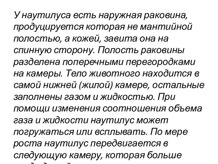 У наутилуса есть наружная раковина, продуцируется которая не мантийной полостью, а