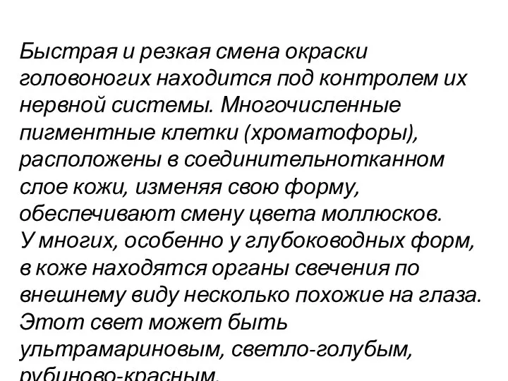 Быстрая и резкая смена окраски головоногих находится под контролем их нервной