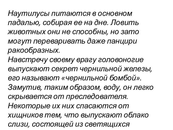 Наутилусы питаются в основном падалью, собирая ее на дне. Ловить животных