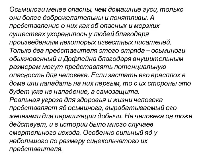 Осьминоги менее опасны, чем домашние гуси, только они более доброжелательны и