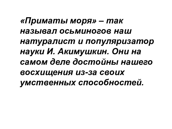 «Приматы моря» – так называл осьминогов наш натуралист и популяризатор науки