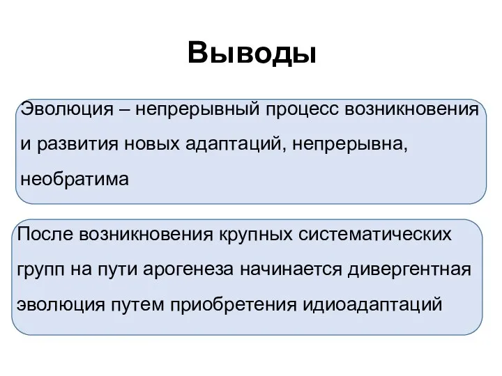 Выводы