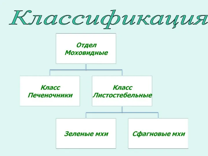 Классификация