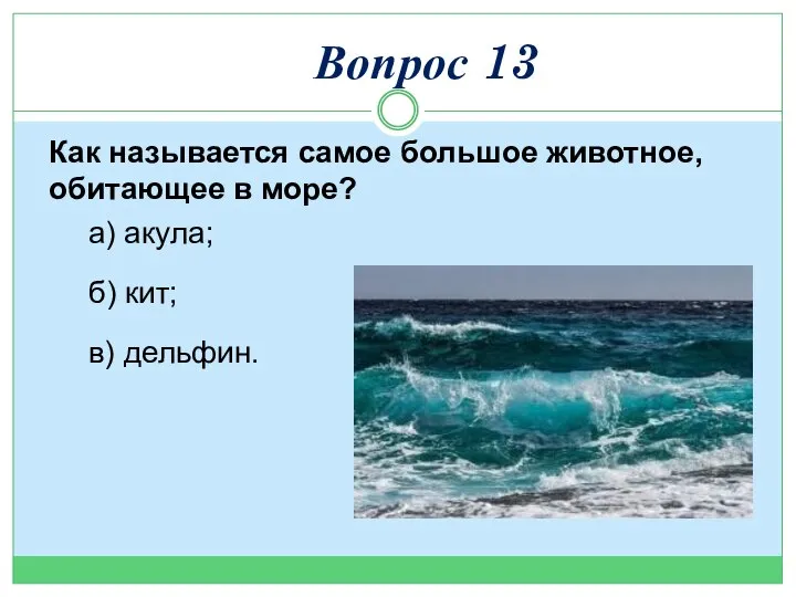 Как называется самое большое животное, обитающее в море? а) акула; б) кит; в) дельфин. Вопрос 13