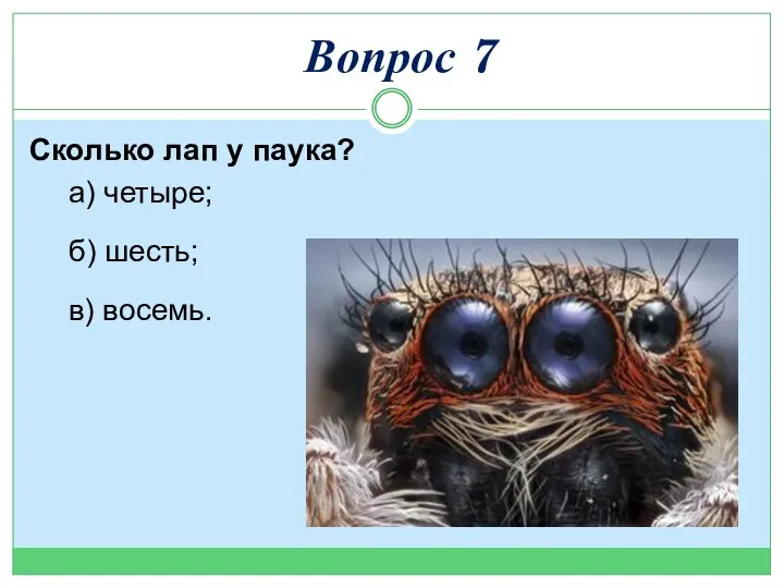 Сколько лап у паука? а) четыре; б) шесть; в) восемь. Вопрос 7