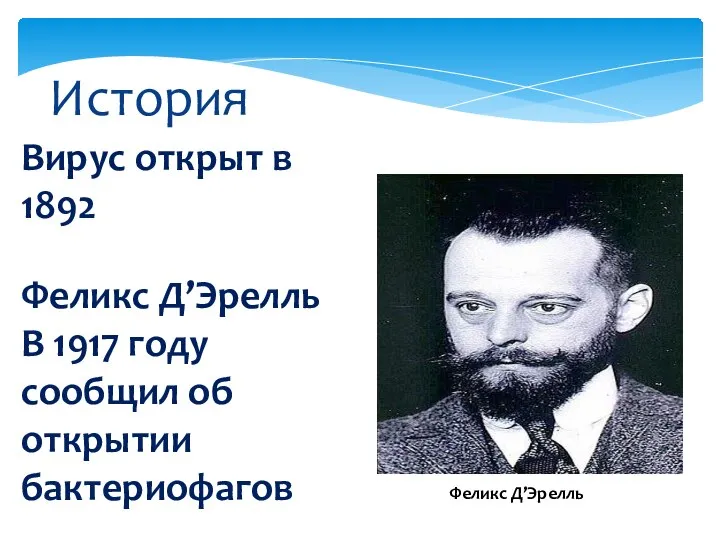 Вирус открыт в 1892 История Феликс Д’Эрелль В 1917 году сообщил об открытии бактериофагов Феликс Д’Эрелль