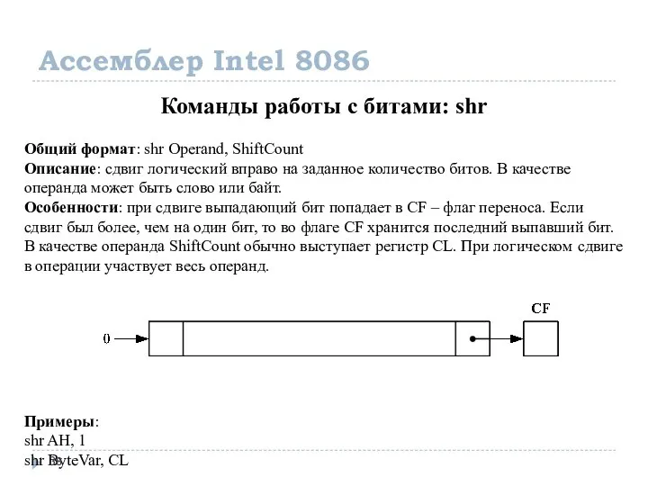 Ассемблер Intel 8086 Команды работы с битами: shr Общий формат: shr