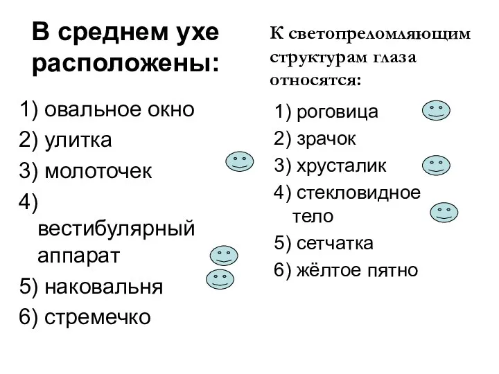 В среднем ухе расположены: 1) овальное окно 2) улитка 3) молоточек