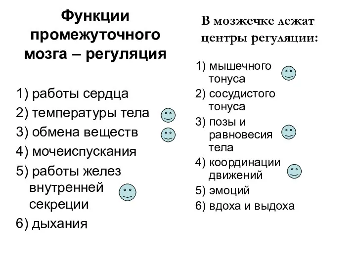 Функции промежуточного мозга – регуляция 1) работы сердца 2) температуры тела