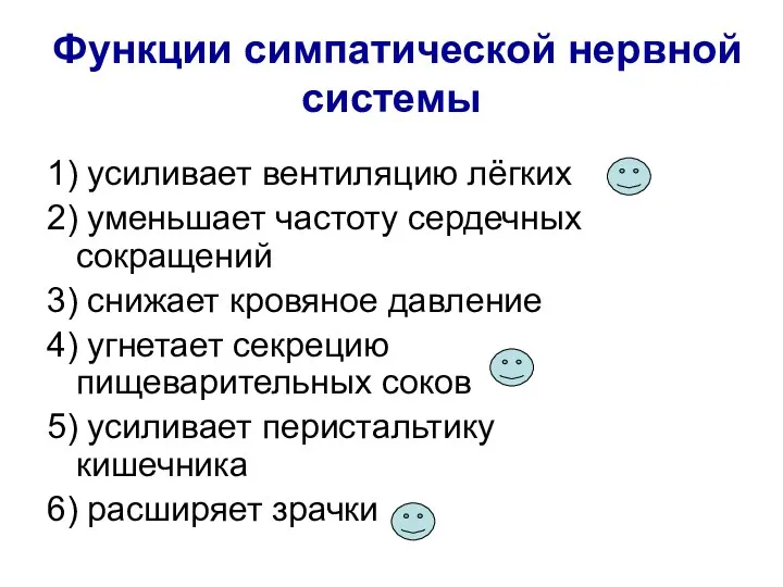 Функции симпатической нервной системы 1) усиливает вентиляцию лёгких 2) уменьшает частоту