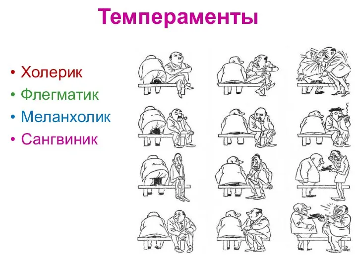 Темпераменты Холерик Флегматик Меланхолик Сангвиник