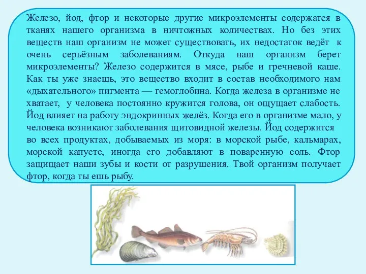 Железо, йод, фтор и некоторые другие микроэлементы содержатся в тканях нашего