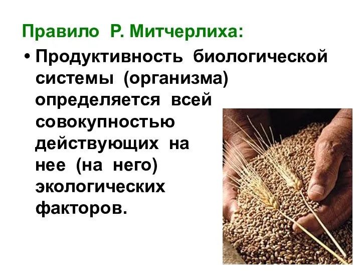 Правило Р. Митчерлиха: Продуктивность биологической системы (организма) определяется всей совокупностью действующих