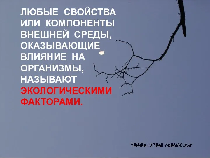 ЛЮБЫЕ СВОЙСТВА ИЛИ КОМПОНЕНТЫ ВНЕШНЕЙ СРЕДЫ, ОКАЗЫВАЮЩИЕ ВЛИЯНИЕ НА ОРГАНИЗМЫ, НАЗЫВАЮТ ЭКОЛОГИЧЕСКИМИ ФАКТОРАМИ.