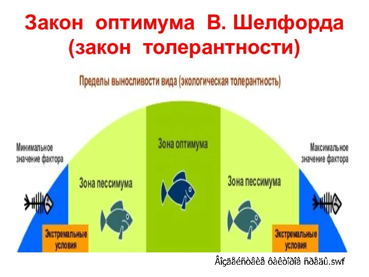 Закон оптимума В. Шелфорда (закон толерантности)