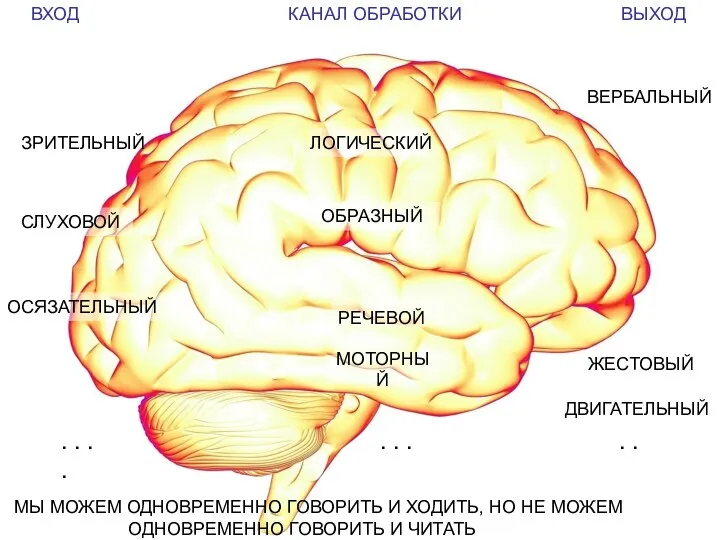 ВХОД КАНАЛ ОБРАБОТКИ ВЫХОД ЗРИТЕЛЬНЫЙ ОСЯЗАТЕЛЬНЫЙ СЛУХОВОЙ РЕЧЕВОЙ ЛОГИЧЕСКИЙ ОБРАЗНЫЙ ВЕРБАЛЬНЫЙ