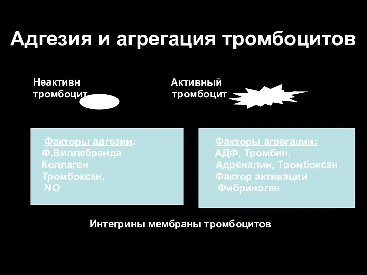 Адгезия и агрегация тромбоцитов Неактивн Активный тромбоцит тромбоцит Факторы адгезии: Факторы